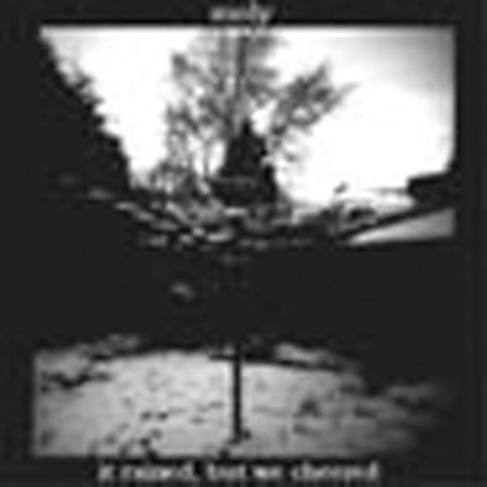 洋楽 moly.      It Rained, But We Cheered Amazon.co.jp: It Rained, But We Cheered: ミュージック